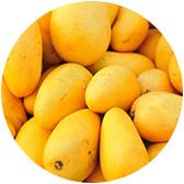 fruit material mangoes